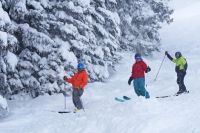 persons dressed warmly in snow on skis
