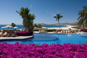 palm trees, white beach, blue pool, purple flora